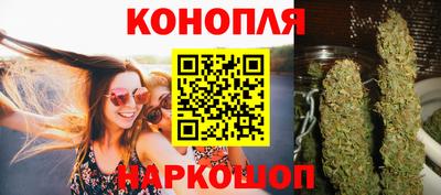 стаф Нальчик