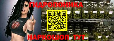 стаф Нальчик