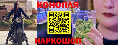 стаф Нальчик
