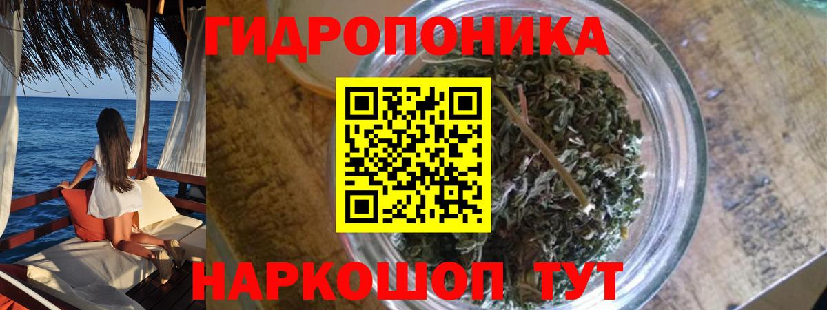Бошки марихуана ГИДРОПОН  Вход с VPN  Юрга  Канабис MAZAR  Канабис гибрид  Конопля THC 21% 